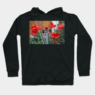 Poppies Hoodie